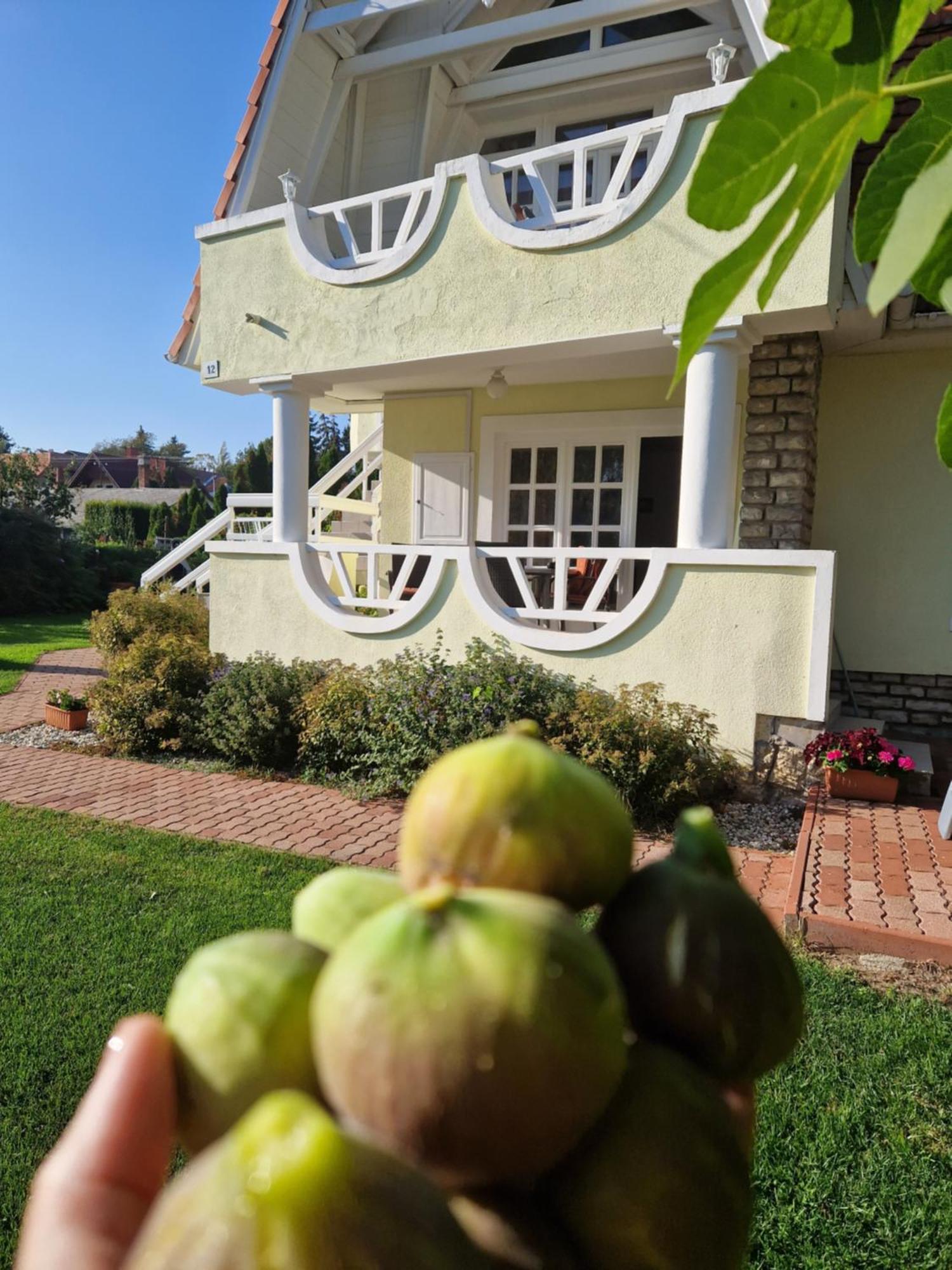 Balaton Apartman Fuered Balatonfüred Buitenkant foto